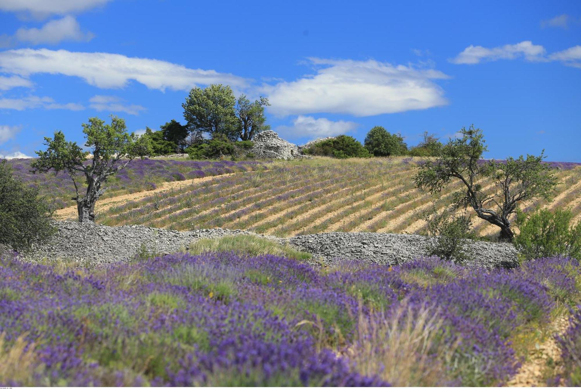Gite De L'Aspa Saint-Christol  Rum bild