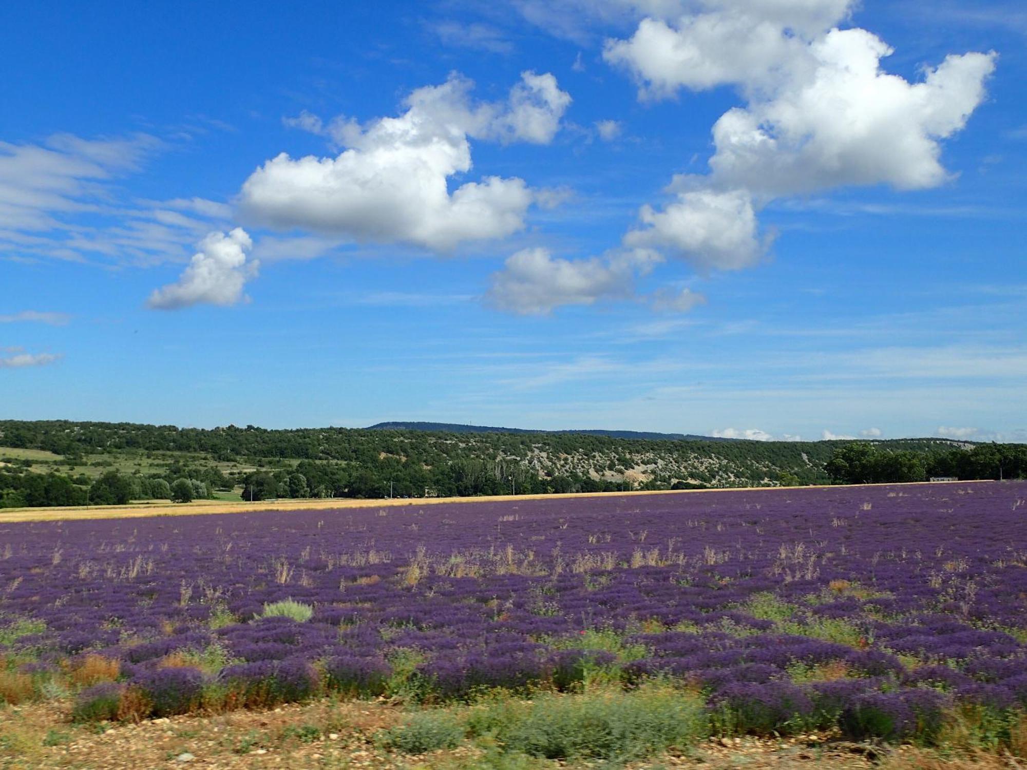 Gite De L'Aspa Saint-Christol  Exteriör bild